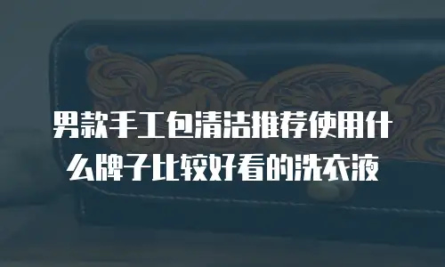 男款手工包清洁推荐使用什么牌子比较好看的洗衣液