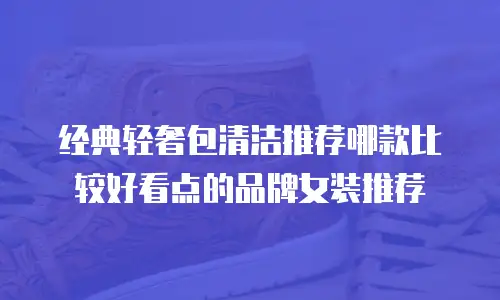经典轻奢包清洁推荐哪款比较好看点的品牌女装推荐