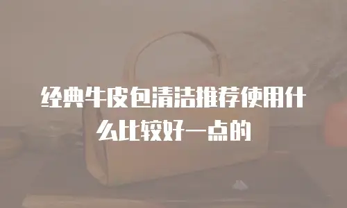 经典牛皮包清洁推荐使用什么比较好一点的