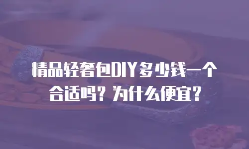 精品轻奢包DIY多少钱一个合适吗？为什么便宜？