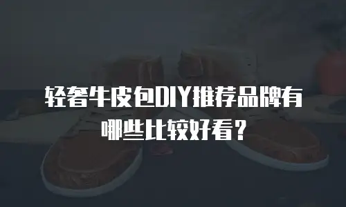 轻奢牛皮包DIY推荐品牌有哪些比较好看？