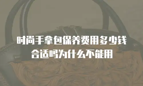 时尚手拿包保养费用多少钱合适吗为什么不能用