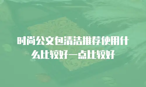 时尚公文包清洁推荐使用什么比较好一点比较好