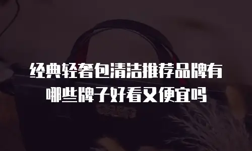 经典轻奢包清洁推荐品牌有哪些牌子好看又便宜吗