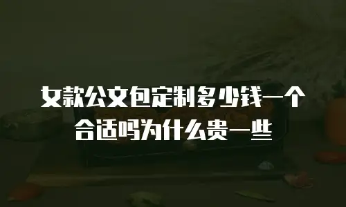 女款公文包定制多少钱一个合适吗为什么贵一些