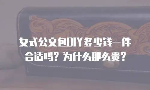 女式公文包DIY多少钱一件合适吗？为什么那么贵？