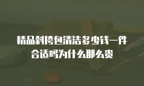 精品斜挎包清洁多少钱一件合适吗为什么那么贵