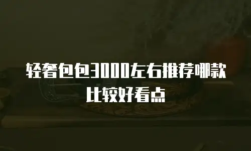 轻奢包包3000左右推荐哪款比较好看点