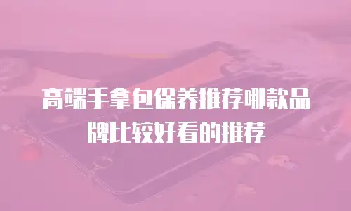 高端手拿包保养推荐哪款品牌比较好看的推荐