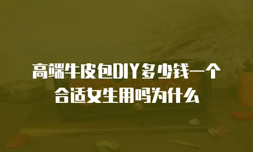 高端牛皮包DIY多少钱一个合适女生用吗为什么