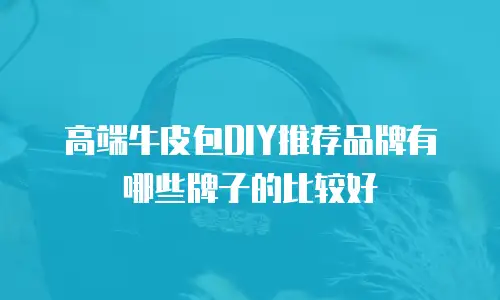 高端牛皮包DIY推荐品牌有哪些牌子的比较好