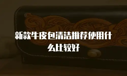 新款牛皮包清洁推荐使用什么比较好