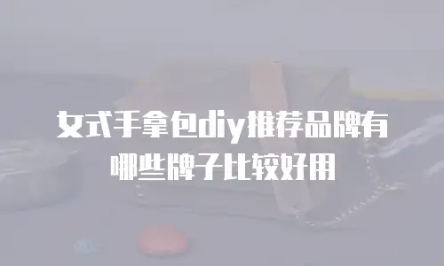 女式手拿包diy推荐品牌有哪些牌子比较好用