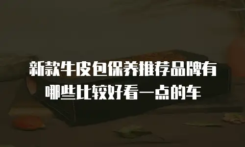 新款牛皮包保养推荐品牌有哪些比较好看一点的车