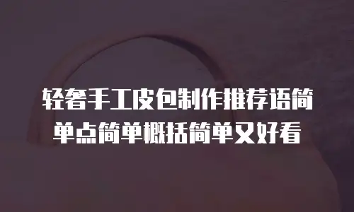 轻奢手工皮包制作推荐语简单点简单概括简单又好看
