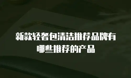 新款轻奢包清洁推荐品牌有哪些推荐的产品