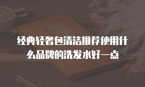 经典轻奢包清洁推荐使用什么品牌的洗发水好一点