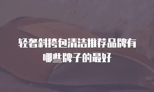 轻奢斜挎包清洁推荐品牌有哪些牌子的最好