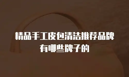 精品手工皮包清洁推荐品牌有哪些牌子的