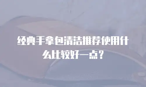 经典手拿包清洁推荐使用什么比较好一点？