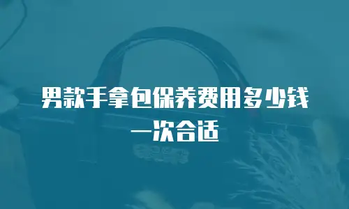 男款手拿包保养费用多少钱一次合适