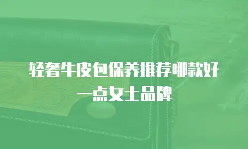 轻奢牛皮包保养推荐哪款好一点女士品牌