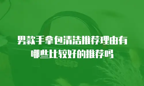 男款手拿包清洁推荐理由有哪些比较好的推荐吗