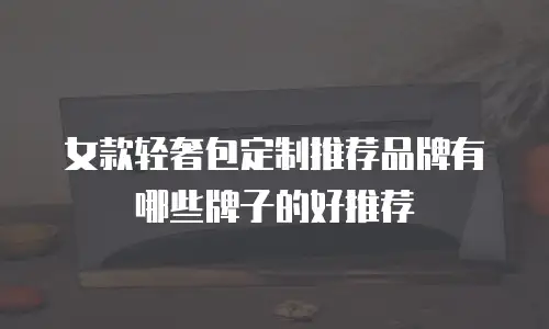 女款轻奢包定制推荐品牌有哪些牌子的好推荐