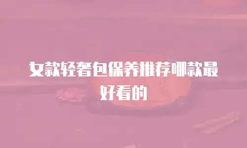 女款轻奢包保养推荐哪款最好看的