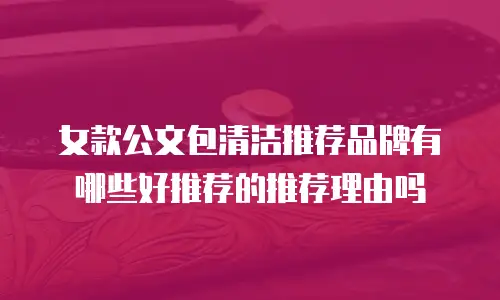 女款公文包清洁推荐品牌有哪些好推荐的推荐理由吗
