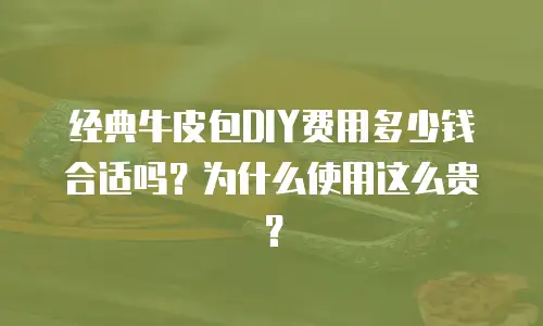 经典牛皮包DIY费用多少钱合适吗？为什么使用这么贵？