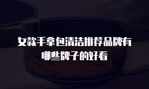 女款手拿包清洁推荐品牌有哪些牌子的好看