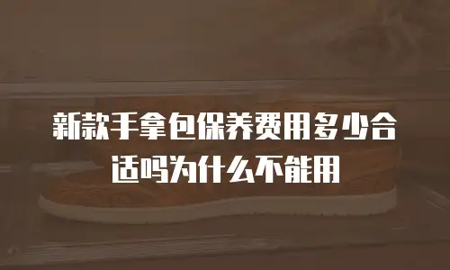 新款手拿包保养费用多少合适吗为什么不能用