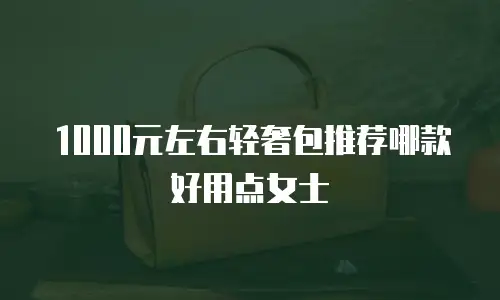 1000元左右轻奢包推荐哪款好用点女士