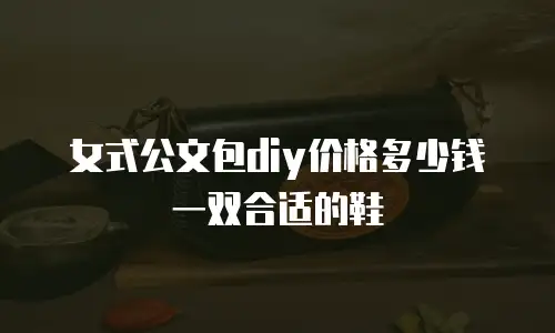 女式公文包diy价格多少钱一双合适的鞋
