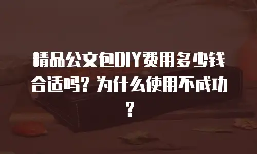 精品公文包DIY费用多少钱合适吗？为什么使用不成功？
