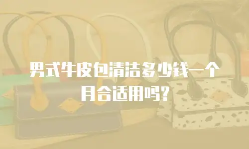 男式牛皮包清洁多少钱一个月合适用吗？