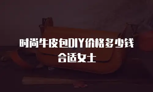 时尚牛皮包DIY价格多少钱合适女士