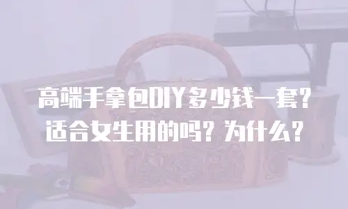 高端手拿包DIY多少钱一套？适合女生用的吗？为什么？