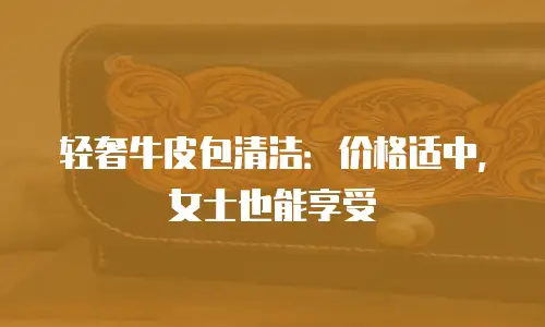 轻奢牛皮包清洁：价格适中，女士也能享受