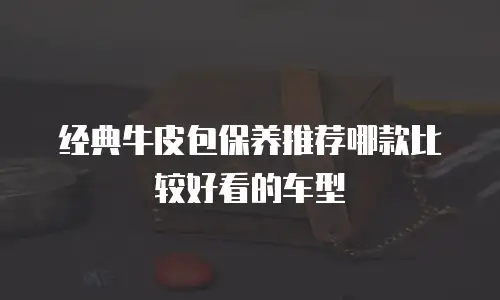 经典牛皮包保养推荐哪款比较好看的车型