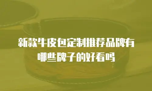 新款牛皮包定制推荐品牌有哪些牌子的好看吗
