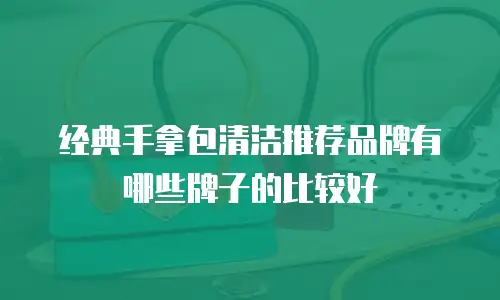 经典手拿包清洁推荐品牌有哪些牌子的比较好