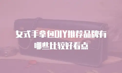 女式手拿包DIY推荐品牌有哪些比较好看点