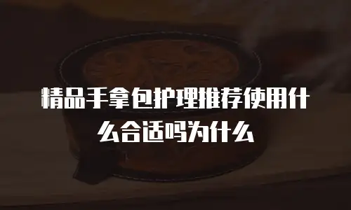 精品手拿包护理推荐使用什么合适吗为什么