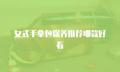 女式手拿包保养推荐哪款好看
