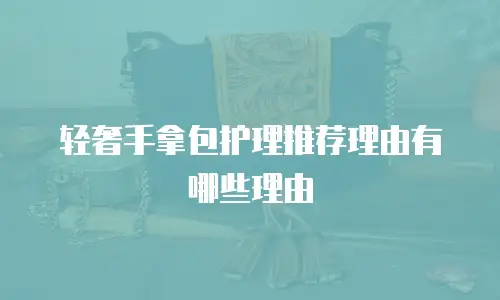 轻奢手拿包护理推荐理由有哪些理由
