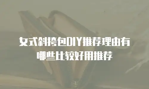 女式斜挎包DIY推荐理由有哪些比较好用推荐