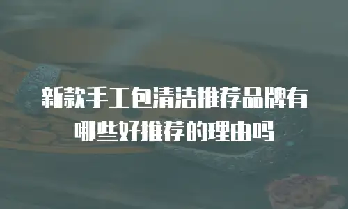新款手工包清洁推荐品牌有哪些好推荐的理由吗