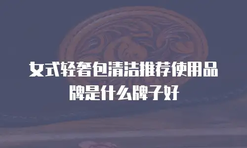 女式轻奢包清洁推荐使用品牌是什么牌子好